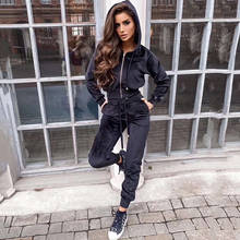 2020 Autumn Winter Clothes Fashion Women Sweatshirt Crop Top Pants Sets Velvet Tracksuit Velour smooth soft Suit Women 2Pcs Set 2024 - buy cheap