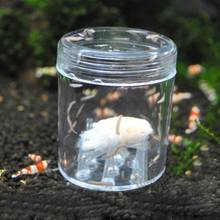 Snail Trap Transparent Leech Vivarium Planarian Pest Catch Pen Worm Bait Feeding Box Aquarium Cleaner Tool 2024 - buy cheap