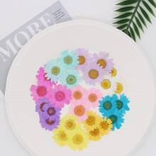 500pcs Pressed Dried Daisy Chrysanthemum paludosum Flower For Nail art Epoxy Resin Pendant Necklace Jewelry Making Craft DIY 2024 - buy cheap