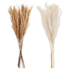 10pcs/lot Natural Dried Flower Reed Flower Bouquet For Home Decor Small Pampas Grass Wedding Dried Whisk Reed Phragmites Flower 2024 - buy cheap