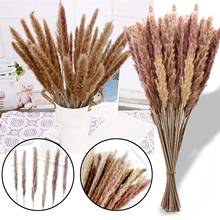 30PCS Dried Flowers For Wedding Party DIY Craft Bouquet Real Wheat Ear Flower Decoration Natural Pampas Rabbit Tail Grass 2024 - buy cheap