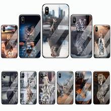 Cat tiger dog lion Phone Case Tempered glass For iphone 6 6S 7 8 plus X XS XR 11 12 mini PRO MAX 2024 - buy cheap