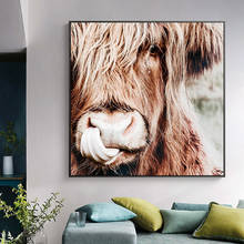 Pintura en lienzo de animales salvajes Highland Cow, póster impreso, Cuadros, imágenes artísticas de pared para decoración de sala de estar, sin marco 2024 - compra barato