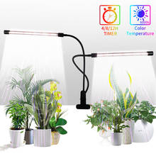 Led Daylight Color Grow Light Usb Phyto Lamp Full Spectrum Grow Tent Complete Kit Phytolamp For Plants Seedlings Flowers 2024 - buy cheap