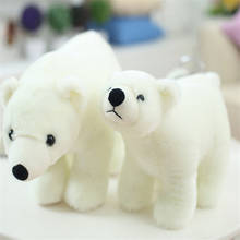 Peluche de oso polar para niños, muñeco de peluche familiar de 20/25/35/45cm, regalo de cumpleaños para novia, M023 2024 - compra barato