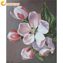 Cuadro de CHENISTORY por números para adultos, pintura de flor blanca y Rosa hecha a mano, 40x50cm, decoración de pared para sala de estar, hogar, enmarcado 2024 - compra barato