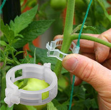 50/100pcs 30mm Plastic Plant Support Clips For Tomato Types Plants Hanging Vine Garden Greenhouse Vegetables Garden Ornament 2024 - buy cheap