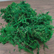 Simulation Moss Dry Green Moss For Garden Decor Plant Potted Plant Decoration Moss Grass Cactus Decoracion Flower Materials 400g 2024 - buy cheap