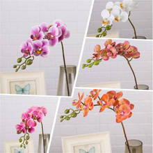 7p Artificial Latex Butterfly Orchid Flowers 7 heads Real Touch Mini Good Phalaenopsis Orchid 25" for Wedding Decorative Flower 2024 - buy cheap