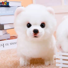 Kawaii Pomeranian Plush Toys Stuffed Animals Doll Dog Puppy Pet Kids Baby Children Boys Birthday Gifts Home Room Decor Crafts 2024 - buy cheap