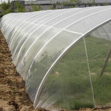 Bug Insect Bird Net Barrier Vegetables Fruits Flowers Plant Protection Greenhouse Garden Netting 2024 - buy cheap