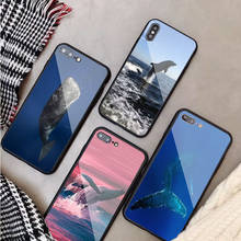 Ocean Whale Shark Swimming Tempered Glass Phone Case For iphone 13 11 Pro Max 5 6 7 8 X XS XR XSMax Shell 12Pro Max Cover Shell 2024 - buy cheap