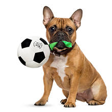 Bola de brinquedo para animais de estimação, cachorros, bola de borracha, mastigação, brinquedos para jogar cachorros, futebol, treinamento de rugby, jardim da família, jogos de animais de estimação 2024 - compre barato