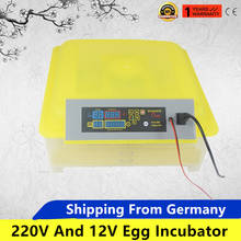 Farm Egg Incubator 12V 220V Incubator Poultry Digital Brooder Chicken Hatchery Machine Temperature Control Automatic Turn Egg 2024 - buy cheap