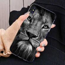 Розничная продажа силиконовый чехол для телефона Lion Alpha Male Cub для Samsung Galaxy J1 J2 J3 J4 J5 J6 J7 J8 Plus 2018 Prime 2015 2016 2017 2024 - купить недорого