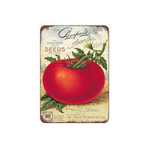 Sementes de tomate, a trull lisa sobre sementes tha grow 1914 sinal de lata de metal 8x1 para parede de casa cozinha, rápido bar pub decoração de parede 2024 - compre barato