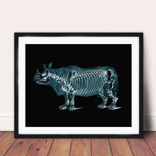 Ilustración de rinoceronte Xray, lienzo artístico impreso, regalo de veterinario, póster de anatomía, pintura abstracta médica, decoración de arte de pared de oficina 2024 - compra barato