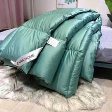 Manta de veludo de pena engrossada de inverno, edredom de veludo com enchimento de manta de veludo twin queen king size 2024 - compre barato