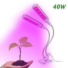 Lâmpada de led para crescimento de plantas, de espectro completo, 40w, cabeça dupla, e27, com clipe, cultivo de lâmpada, controle por interruptor, estrutura interna 2024 - compre barato