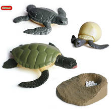 Oenux Ocean Reptile Animals Simulation Sea Life Tortoise Turtle Growth Cycle Model Action Figures Education Cognitive Kids Toy 2024 - buy cheap