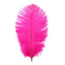 15-20cm(6-8") Ostrich Feather 100pcs/Lot 13 Mix Colors DIY Jewelry Craft Making & Wedding Party Clothing Decoration 2024 - buy cheap