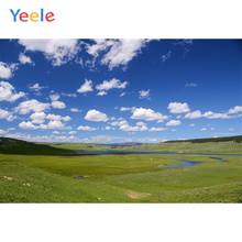 Yeele Green Screen Grass Prairie Bluey Sky Photography Landscape Backdrops Personalized Photographic Background For Photo Studio 2024 - buy cheap