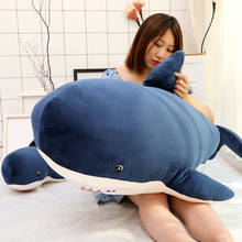 Popular Soft shark plush pillow animal stuffed doll Whale Toy cute Cuhsion Big head Comfortable Child girl Xmas Birthday gift 2024 - buy cheap
