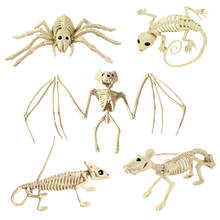 Simulación de decoración de Halloween, accesorios de huesos de esqueleto de animales, Araña, murciélago, ratón, escorpión, lagarto, modelo de casa, adorno para fiesta 2024 - compra barato