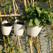 Automatic Watering Flower Pot Garden Pots Planters Indoor Gardening Hydroponics Plant Hanger Greenhouse Garden Flowerbed 2024 - buy cheap