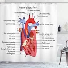 Cortina de ducha educativa, estructura del corazón, cuerpo humano, anatomía, órgano, venas, cardiología, conjunto de decoración de baño con ganchos de 75" 2024 - compra barato