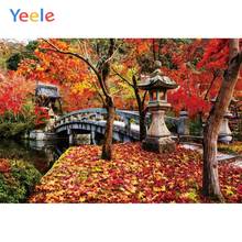 Yeele pano de outono vermelho folhas paisagem ponte retrato de casamento fotografia fundos fotográficos para estúdio de foto 2024 - compre barato