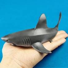 Большая белая акула, Бесплатная Прямая поставка, имитация Sharkly морских животных, ПВХ Модель, фигурка, украшение на стол, обучающая игрушка 2024 - купить недорого