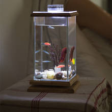 Mini aquário de vidro ecológico, novo e engraçado, super branco, criativo, homem preguiçoso, tanque de peixes, paisagismo, luz rotativa, visualização do bebê 2024 - compre barato
