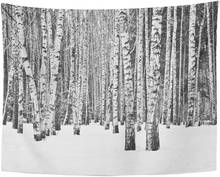 Nature Birch Forest in Winter Black and White Rustic Bright Tapestry Home Decor Wall Hanging for Living Room Bedroom Dorm 60x80 2024 - buy cheap