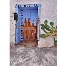 Pintura al óleo azul, puerta de madera, Cactus, telón de fondo para estudio de vinilo para niños, bebé, Retrato, sesión fotográfica, accesorios de fotografía 2024 - compra barato