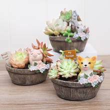 1 pieza maceta al por mayor Mini Animal cactus bonsai macetas suculentas maceta de flores hogar jardín decoración de regalo 2024 - compra barato