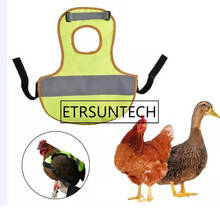 30pcs Pet Reflective Vest Chicken Clothes Poultry Hen Saddle Apron Feather Protection Holder For Chicken And Duck 2024 - buy cheap