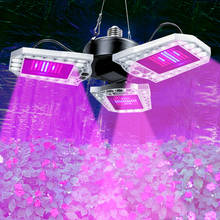 Lâmpada de led phyto e27 1600lm para espectro completo, luz de led 144 para cultivo de mudas, vaso de plantas e plantas indoor, caixa para plantio de flores 2024 - compre barato