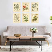 Pôster de planta selvagem vintage, flor plantas, estudo, sala de estar, pintura suspensa, peônia, imagem, estética, decoração de sala, tela, paintng 2024 - compre barato