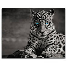 Diy Diamond Painting Black white animal leopard Picture Of Rhinestones Diamond Embroidery Sale 5D Full Square Round DrillZP-2034 2024 - buy cheap