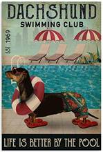 Swimming Club Dachshund Decor Home Wall Art Life Is Better By The Pool Metal Tin Signs Iron Painting 20x30cm 2024 - buy cheap