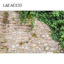 Laeacco Stone Wall Backgrounds For Photography Brick Wall Green Vine Plants Photophone Rural Scenic Photo Backdrops Photo Studio 2024 - buy cheap