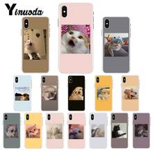 Yinuoda gato engraçado cachorro humor cliente alta qualidade caso de telefone para o iphone 8 7 6 s x xs max 5 5S se xr 10 11 pro max 2024 - compre barato