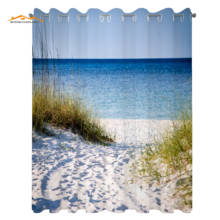 Beach Window Curtains Path to Beach Clear Sky Bushes Grasses Windy Sunny Day Peaceful Gulf of Mexico Living Room Bedroom Decor 2024 - buy cheap