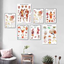 Corpo sistema de anatomia humana posters e cópias da lona arte pintura da parede fotos para sala estar decoração casa sem moldura 2024 - compre barato