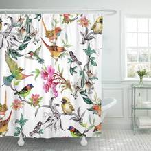 Colorful Watercolor Tropical Summer Flowers and Exotic Birds Shower Curtain Waterproof Polyester Fabric 72 x 72 Inches Set 2024 - buy cheap