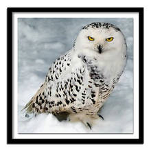 Full Square/Round Drill 5D DIY Diamond Painting "Snow owl" 3D Embroidery Cross Stitch  Decor Gift A00829 2024 - buy cheap