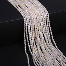 Cuentas sueltas de perlas naturales en forma de arroz cultivadas de agua dulce, abalorios de perlas blancas para la fabricación de joyas, collar, pulsera, 2-3mm 2024 - compra barato