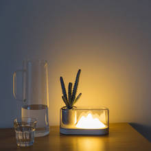 Luz LED de noche sencilla de estilo nórdico, lámpara de mesita de noche para sala de estar, dormitorio, protección ocular con carga USB, luces de planta en maceta 2024 - compra barato