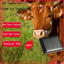 RF-V26 Waterproof IP67 Mini Solar Sheep Cow  Cattle Horse Animal Long Standby time  Lifetime Free Web App 2024 - buy cheap